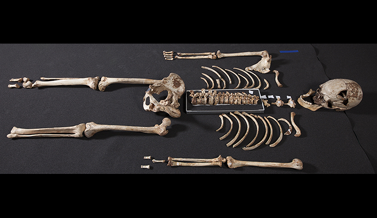 Unearthing the Halling Man
