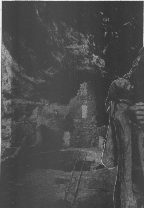 Gallery image 7