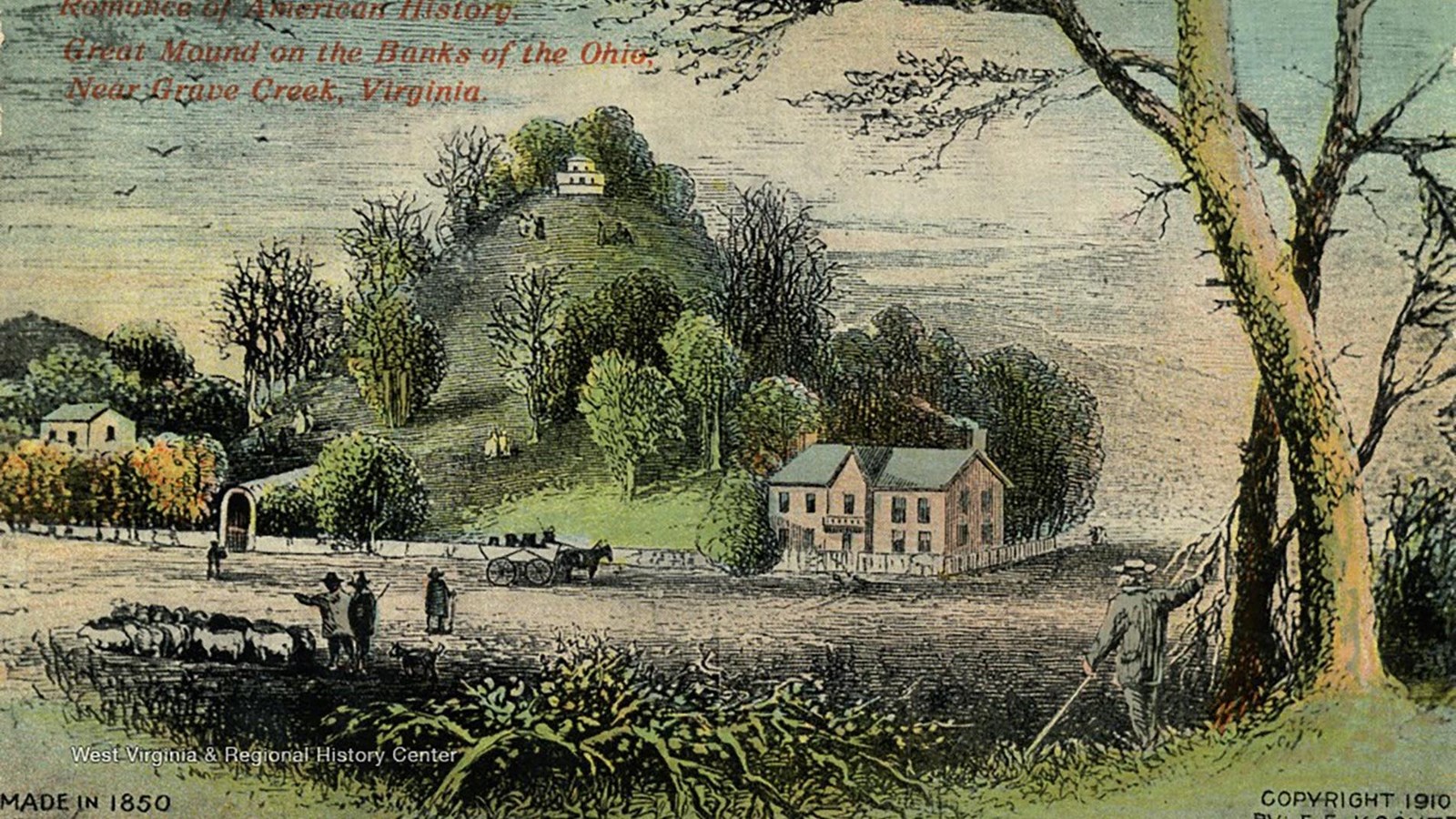 Gallery image 1