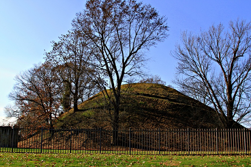 Gallery image 2