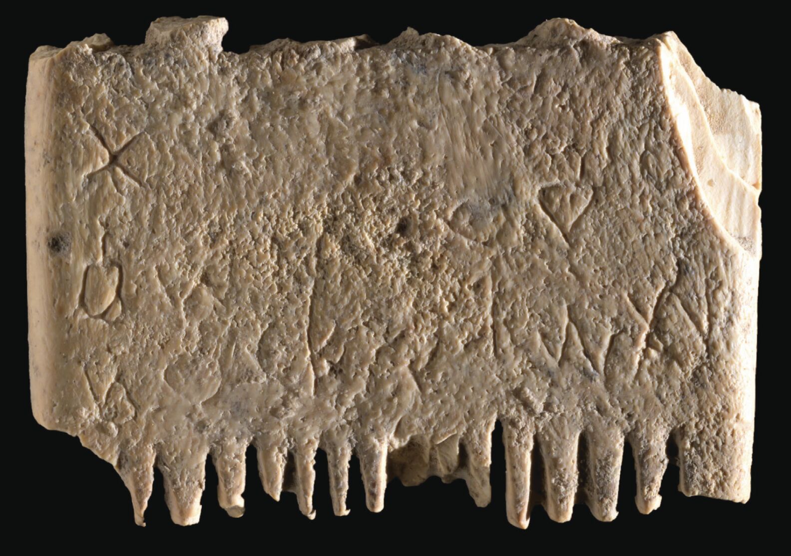 Gallery image 4