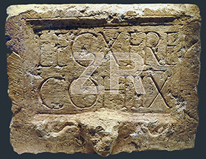 Gallery image 9